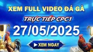 Xem Lại Video Đá Gà CPC1 Ngày 27-05-2025 tại daga88