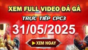 Xem Lại Video Đá Gà CPC3 Ngày 31-05-2025 cùng GACAM67
