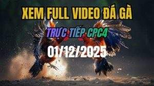 Xem Lai Video Da Ga CPC4 Truc Tiep Ngay 01122025 1