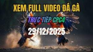 Xem Lại Video Đá Gà CPC4 Trực Tiếp Ngày 29/12/2025
