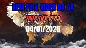 Xem Lại Video Đá Gà CPC3 Trực Tiếp Ngày 04/01/2026