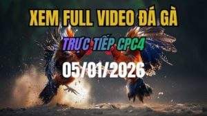 Xem Lại Video Đá Gà CPC4 Trực Tiếp Ngày 05/01/2026