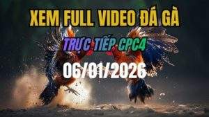 Xem Lại Video Đá Gà CPC4 Trực Tiếp Ngày 06/01/2026