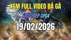 xem lai video da ga cpc4 truc tiep ngay 19 01 2026