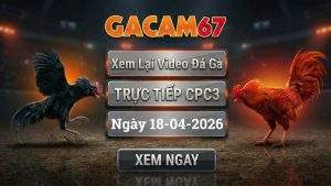 Xem Lại Video Đá Gà CPC3 Ngày 18/04/2026