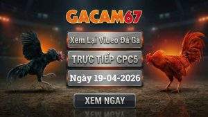 Xem Lại Video Đá Gà CPC5 Ngày 19/04/2026