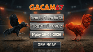 Xem Lại Video Đá Gà CPC2 Ngày 26/04/2026