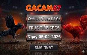 Xem Lại Video Đá Gà CPC5 Ngày 05/04/2026