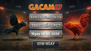 Xem Lại Video Đá Gà CPC2 Ngày 18/05/2026