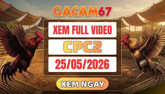 Xem Lại Video Đá Gà CPC2 Ngày 25/05/2026